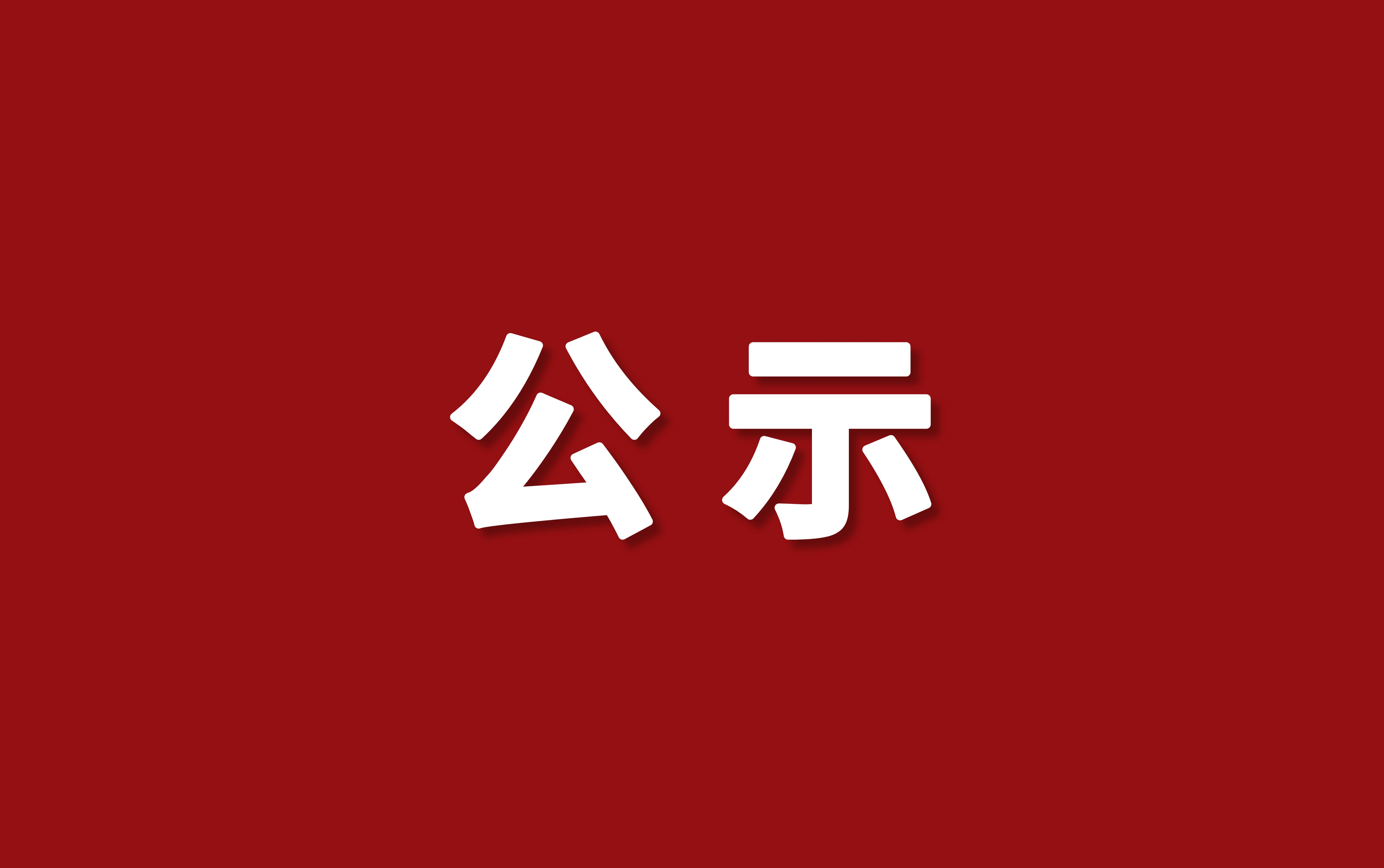 公示